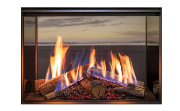 Rinnai - LS 800F Gas Fire - Single Sided